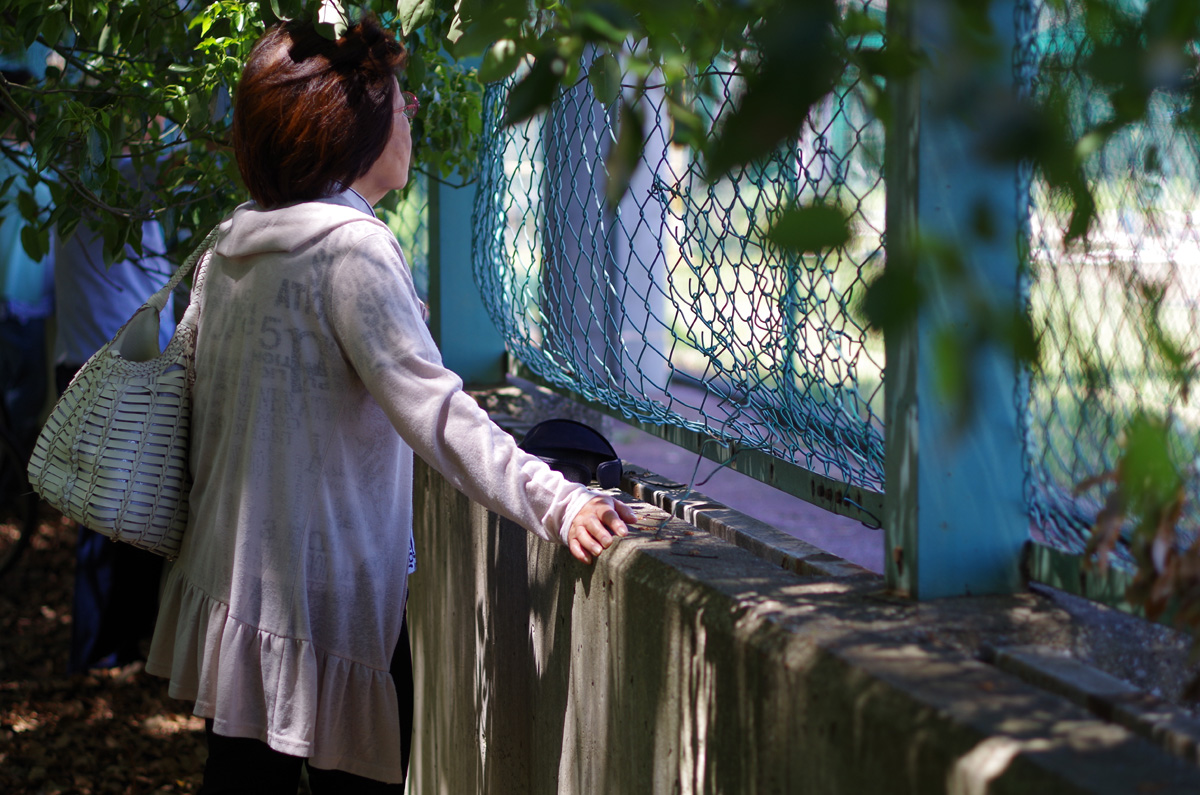 f:id:com:20130531102040j:image