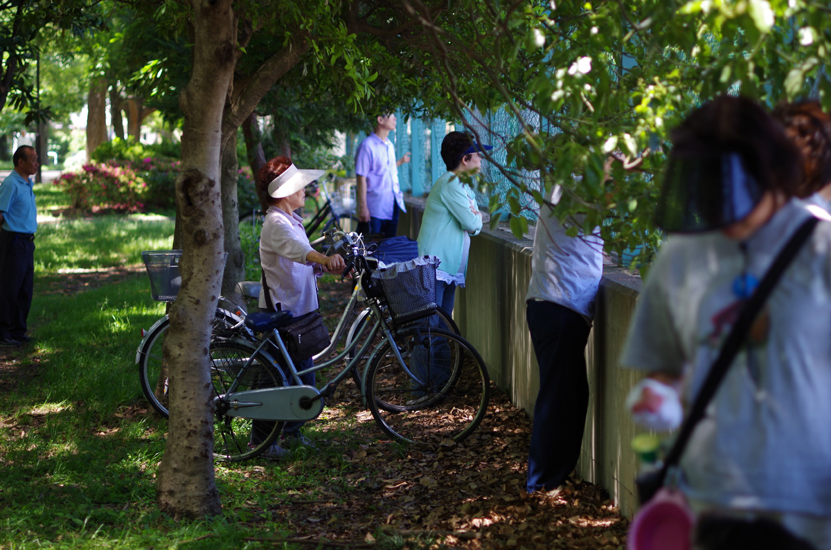 f:id:com:20130531102228j:image