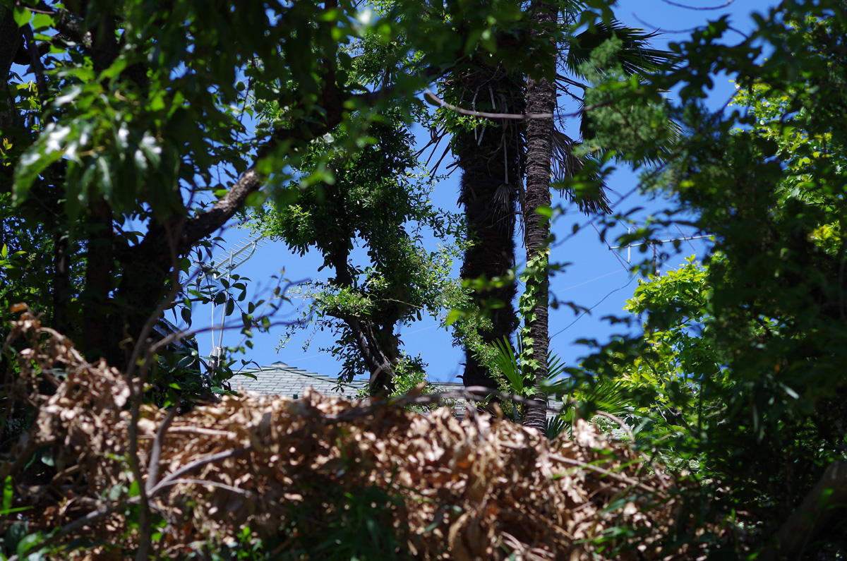 f:id:com:20130531121531j:image
