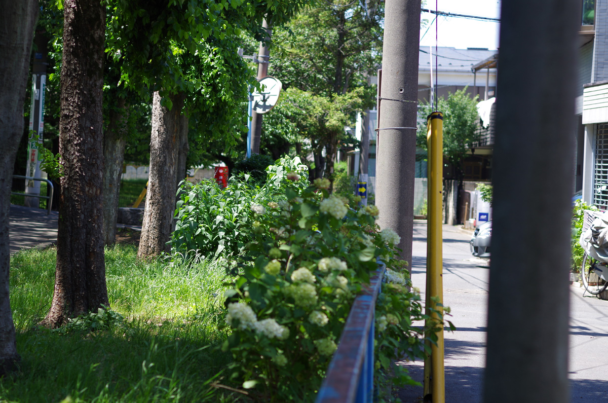 f:id:com:20130531123348j:image