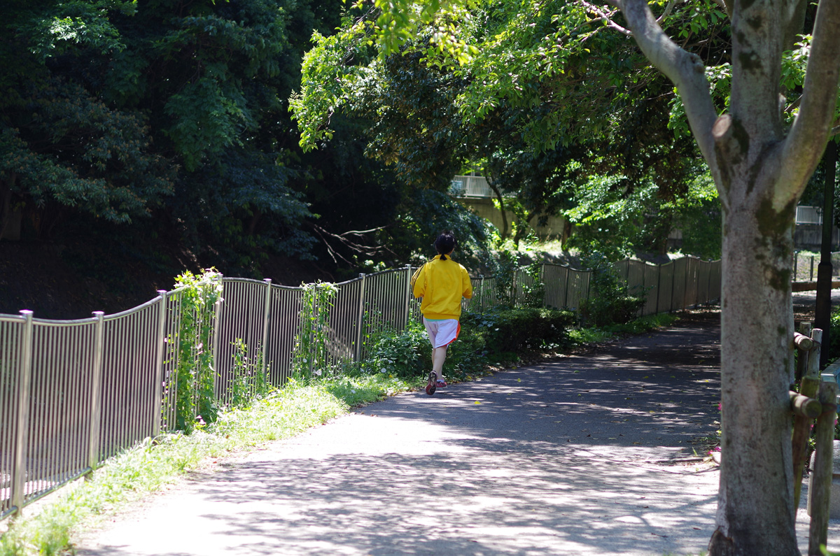 f:id:com:20130531125419j:image