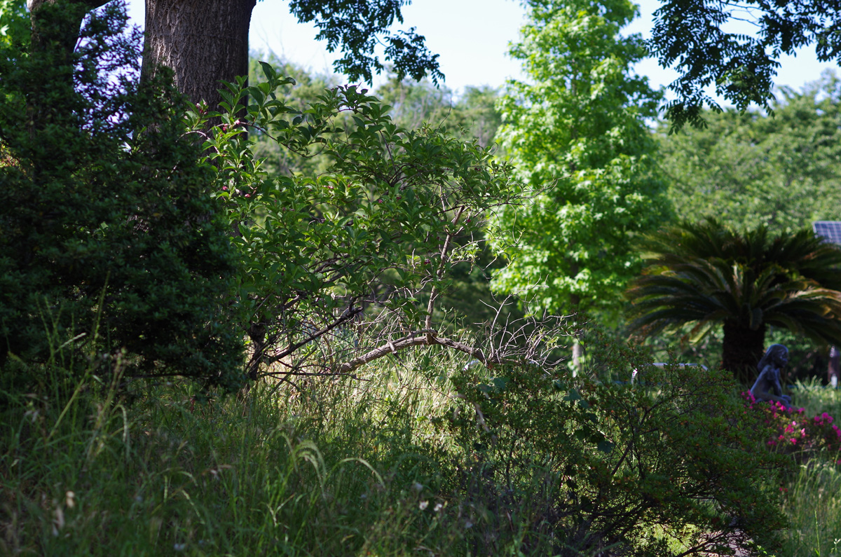 f:id:com:20130531151350j:image