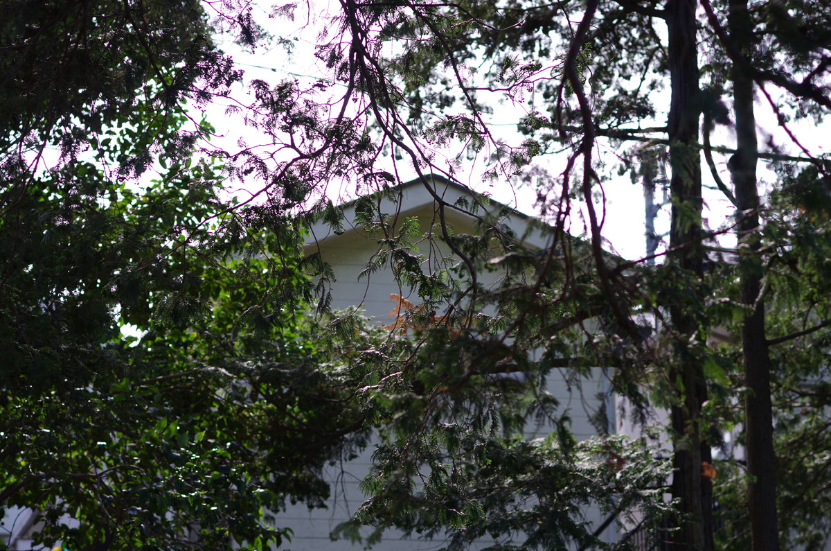 f:id:com:20130531152731j:image