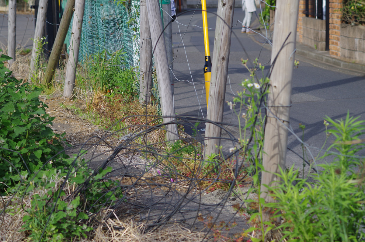 f:id:com:20130531163132j:image
