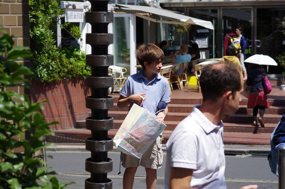 f:id:com:20130602133027j:image