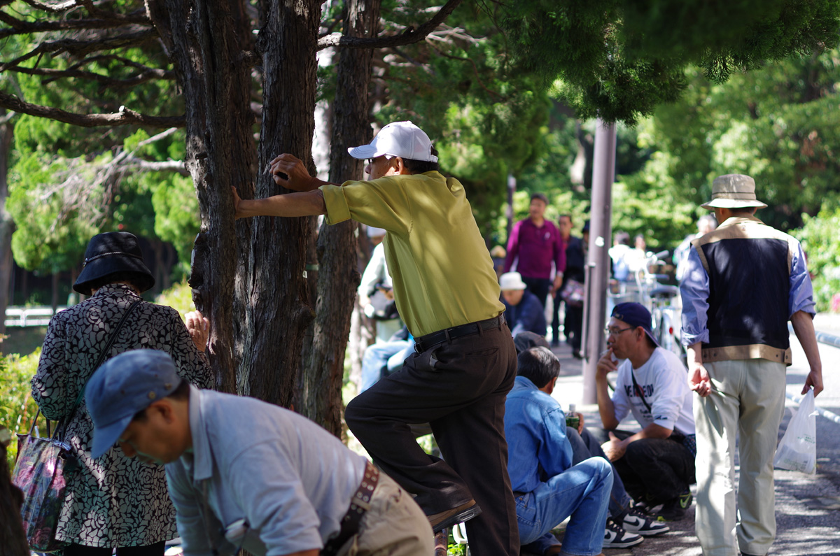 f:id:com:20130602141125j:image