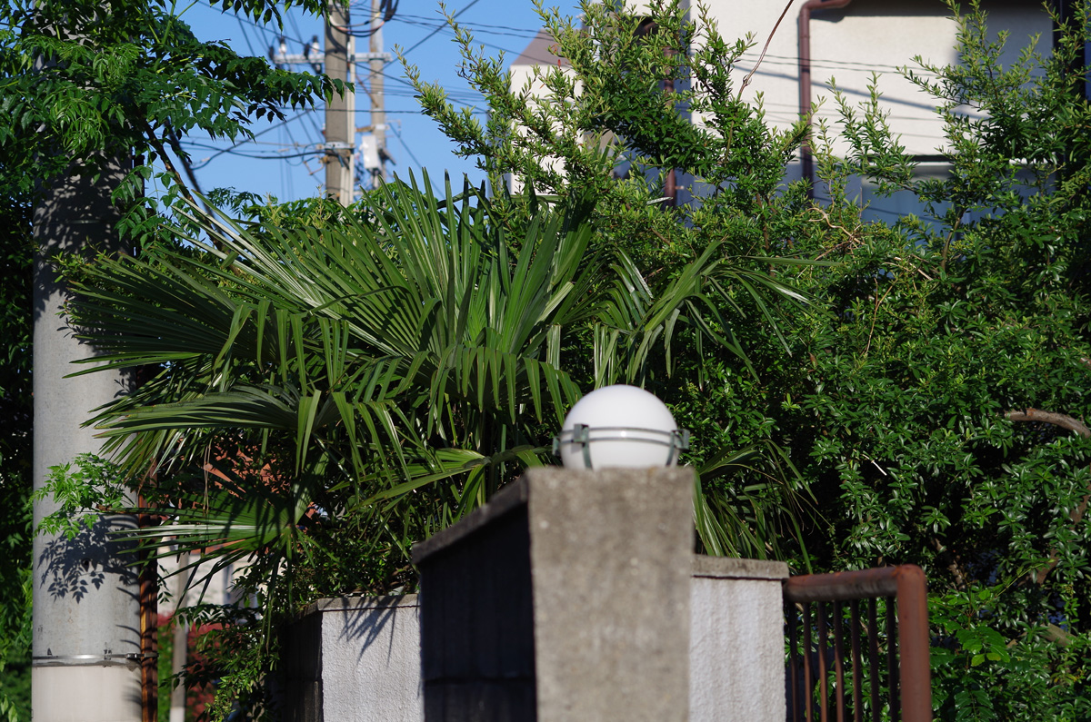 f:id:com:20130603170716j:image
