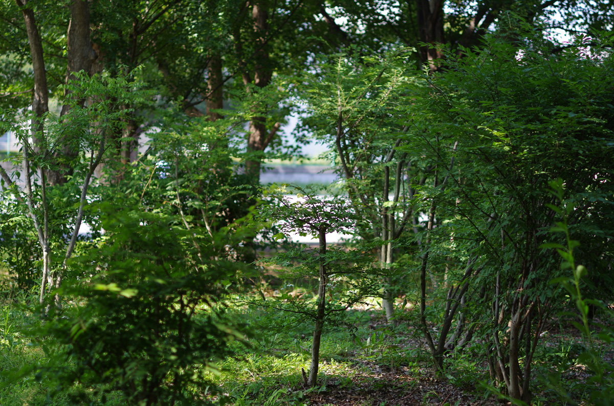 f:id:com:20130604150549j:image