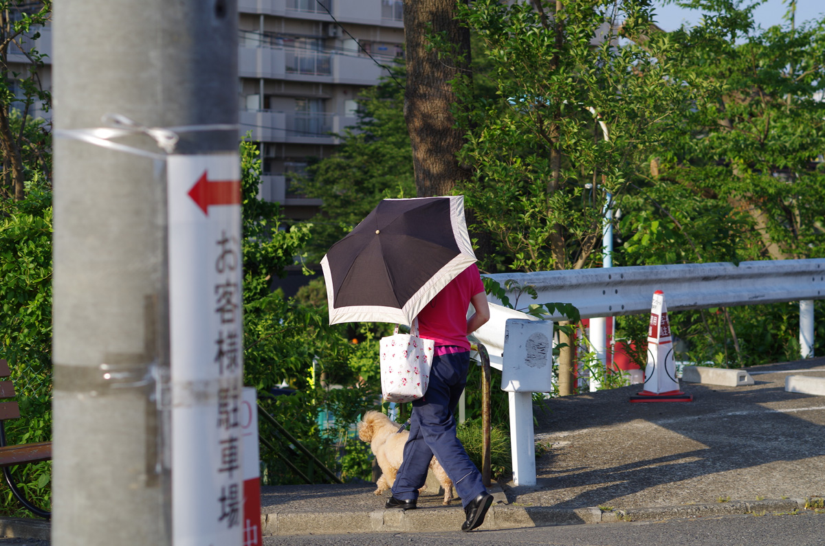 f:id:com:20130604171356j:image