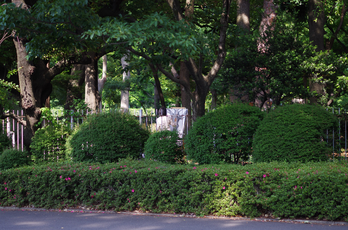f:id:com:20130605150430j:image