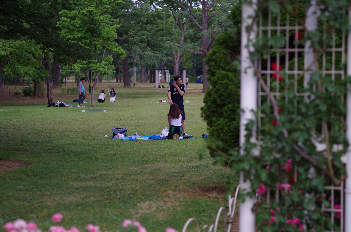 f:id:com:20130605174226j:image