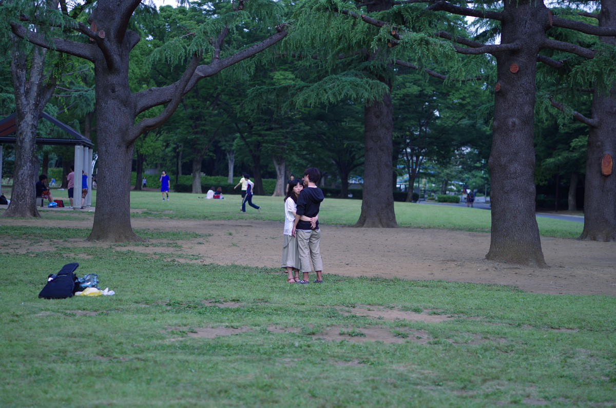 f:id:com:20130605174425j:image