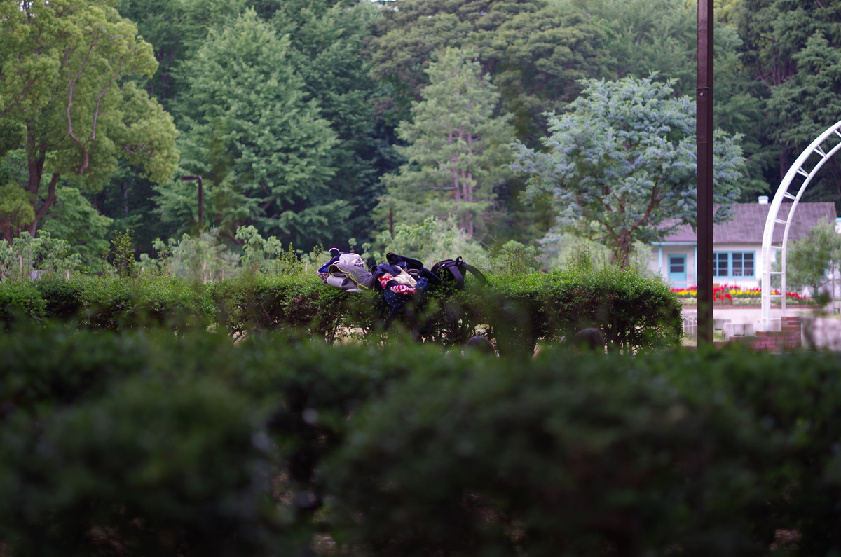 f:id:com:20130605174805j:image