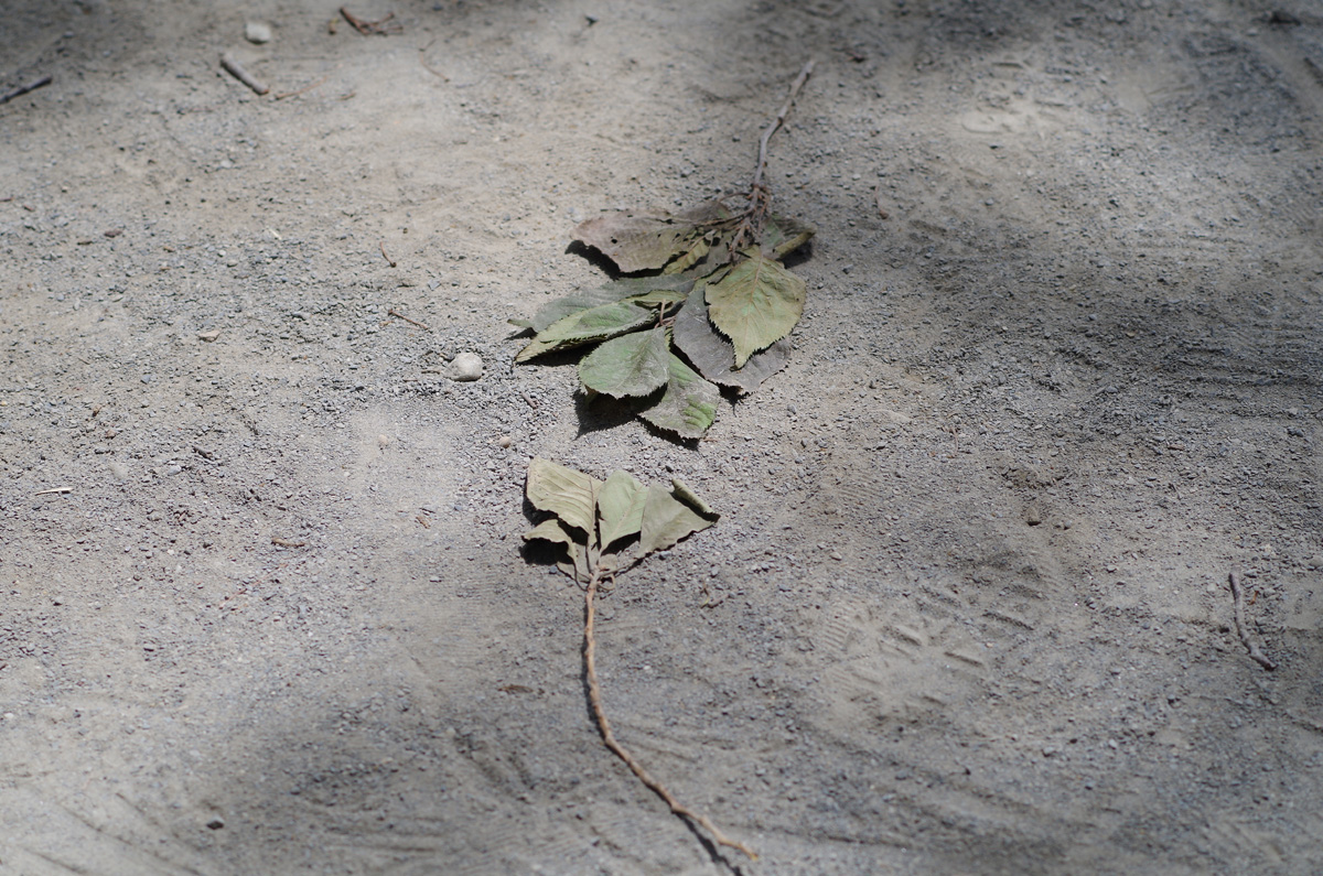 f:id:com:20130607122455j:image
