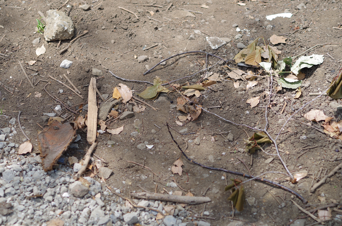 f:id:com:20130607124122j:image