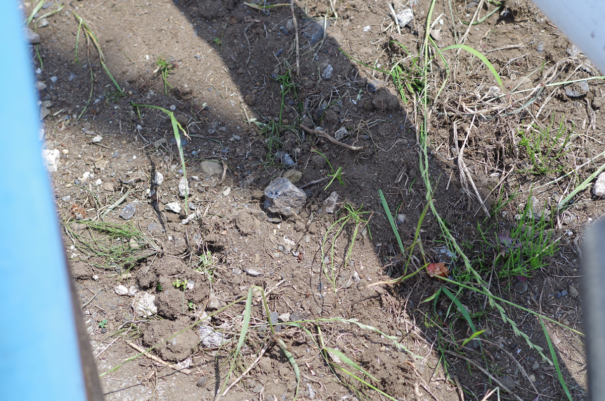 f:id:com:20130607130002j:image