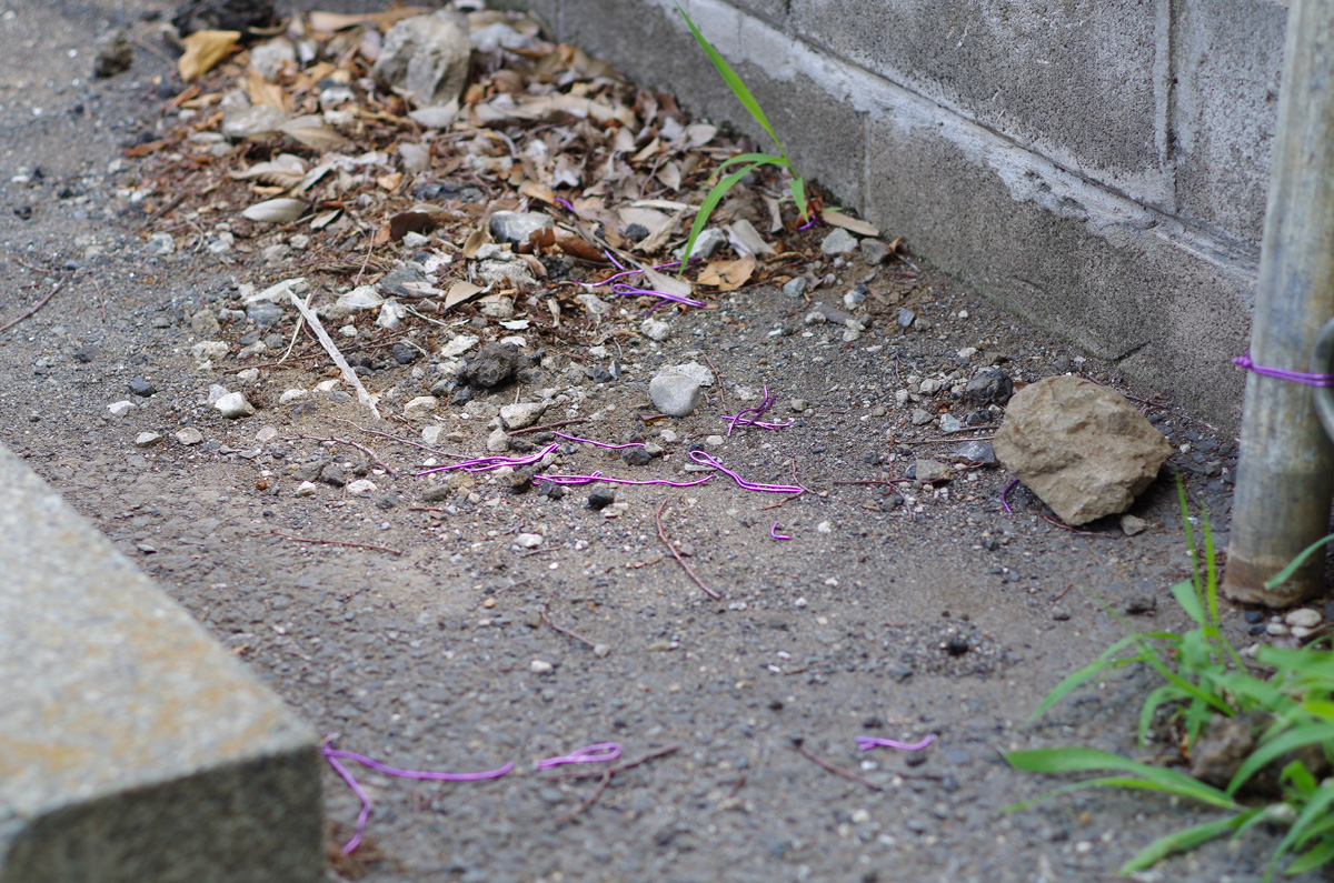 f:id:com:20130607131232j:image