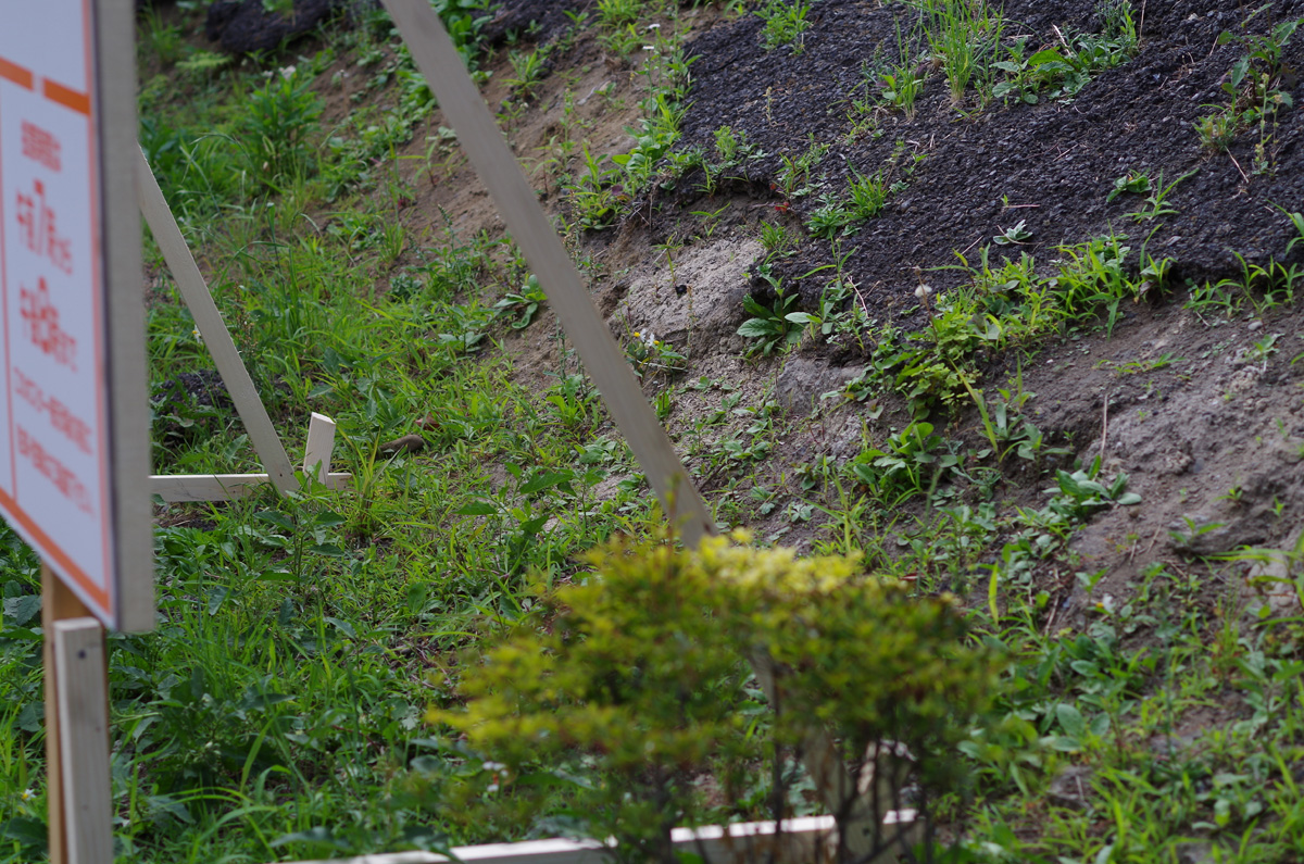 f:id:com:20130607160419j:image