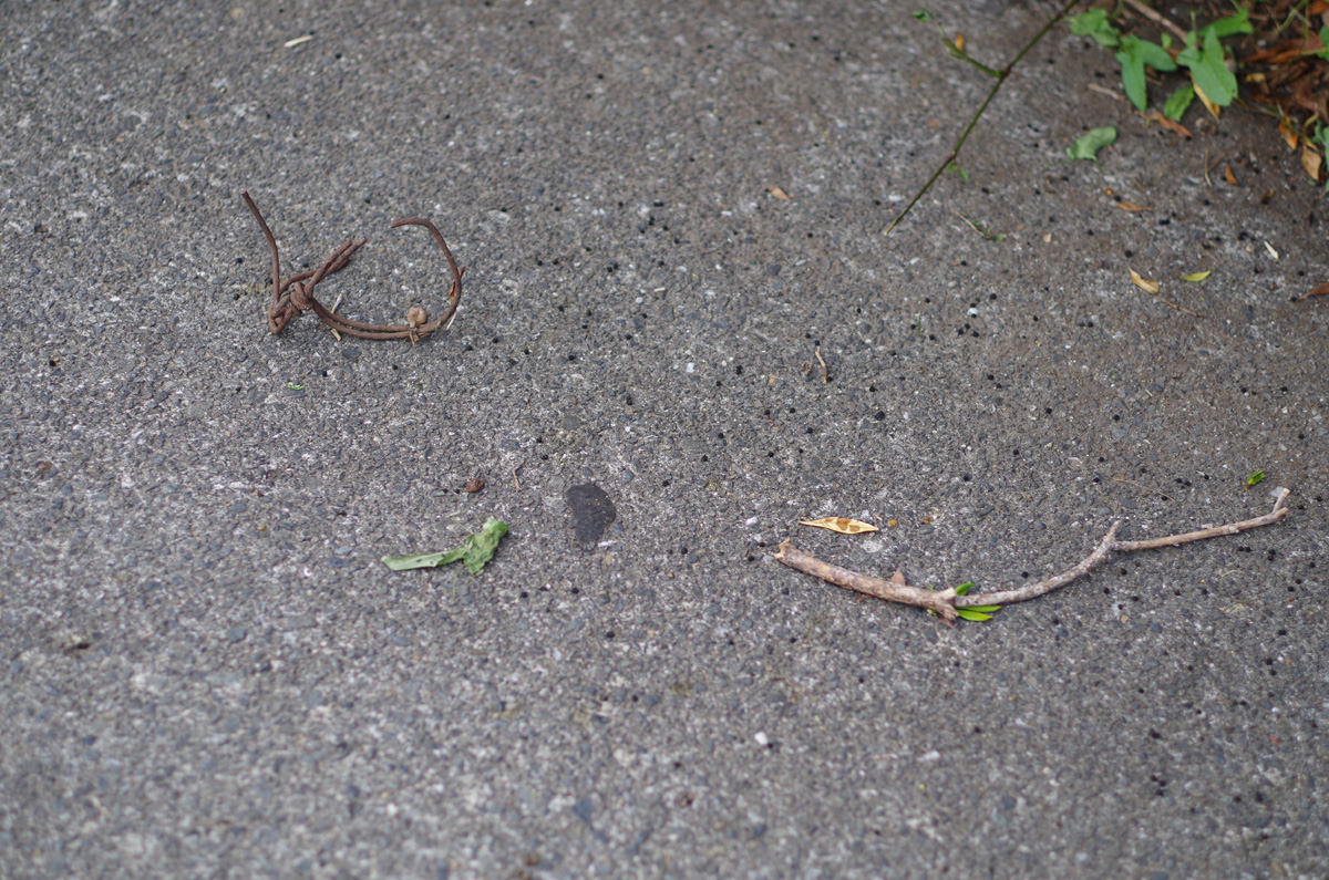 f:id:com:20130607160824j:image