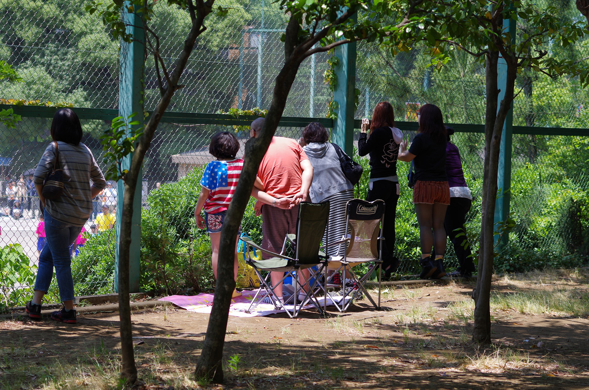 f:id:com:20130608105157j:image