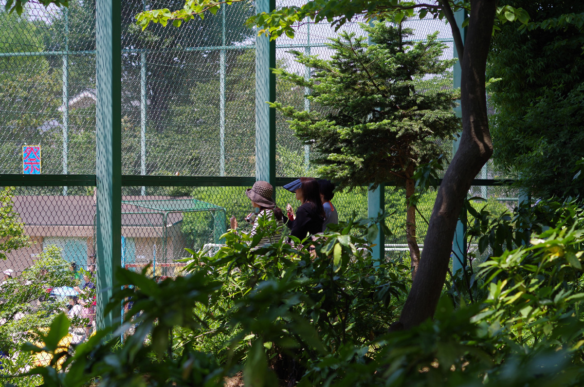 f:id:com:20130608105352j:image