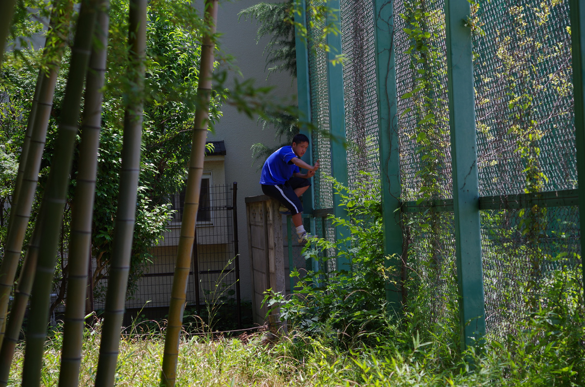 f:id:com:20130608111558j:image
