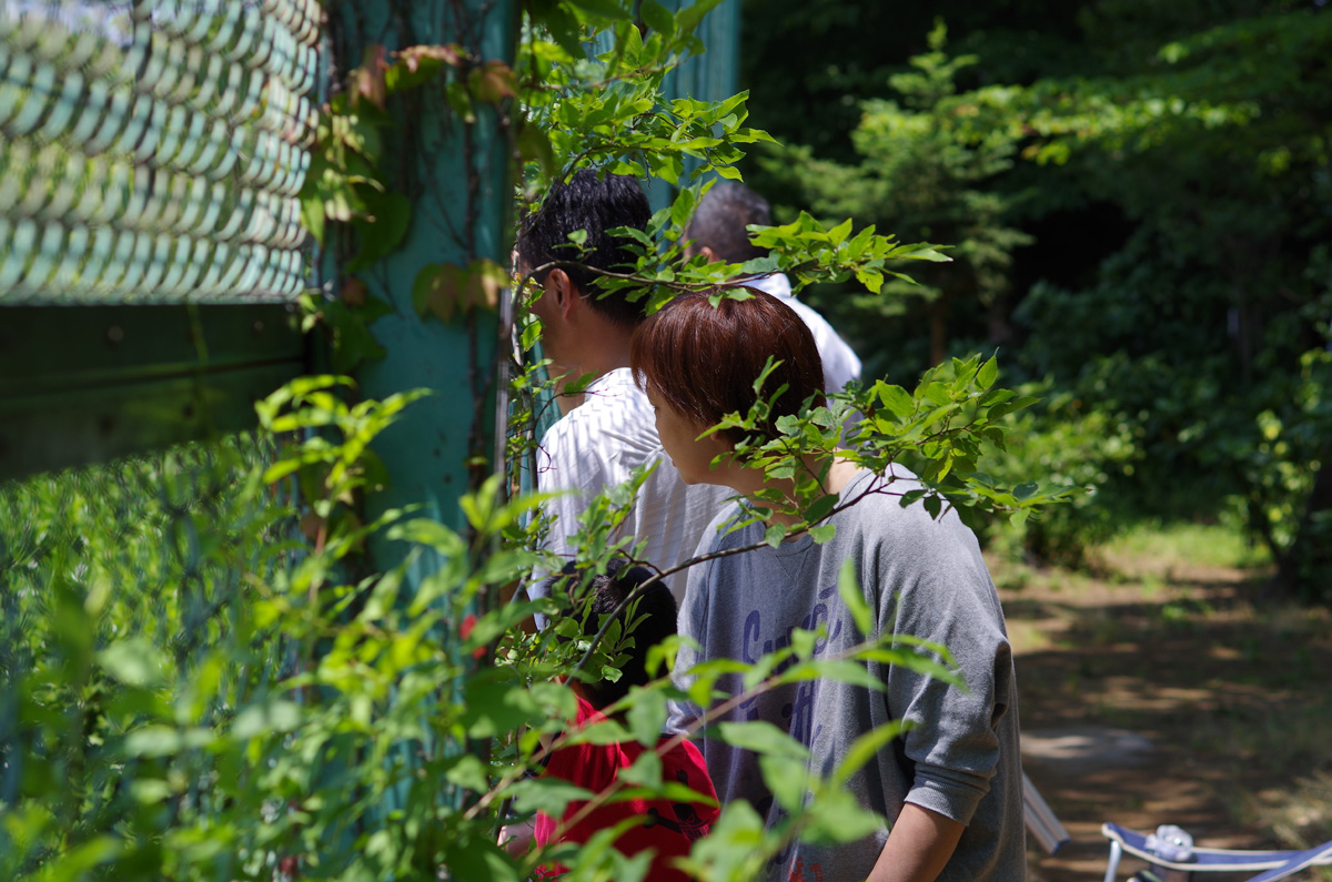 f:id:com:20130608112030j:image