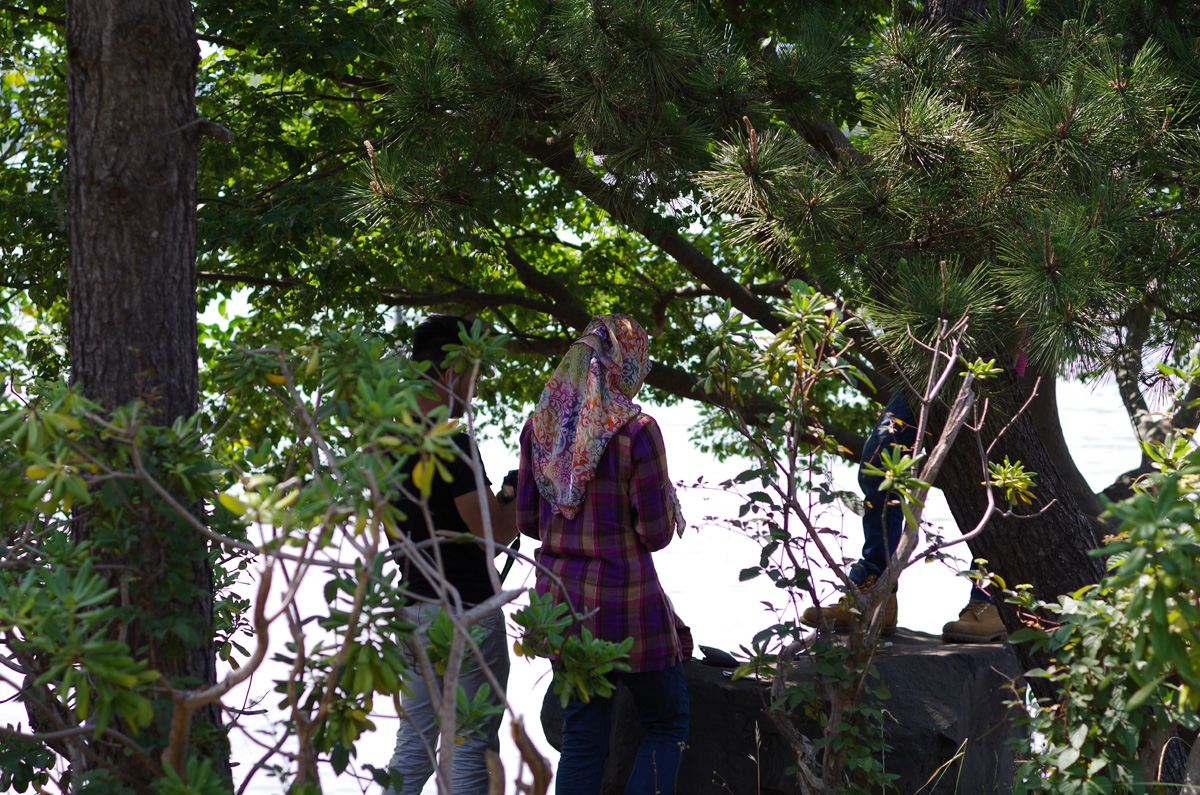 f:id:com:20130608134538j:image