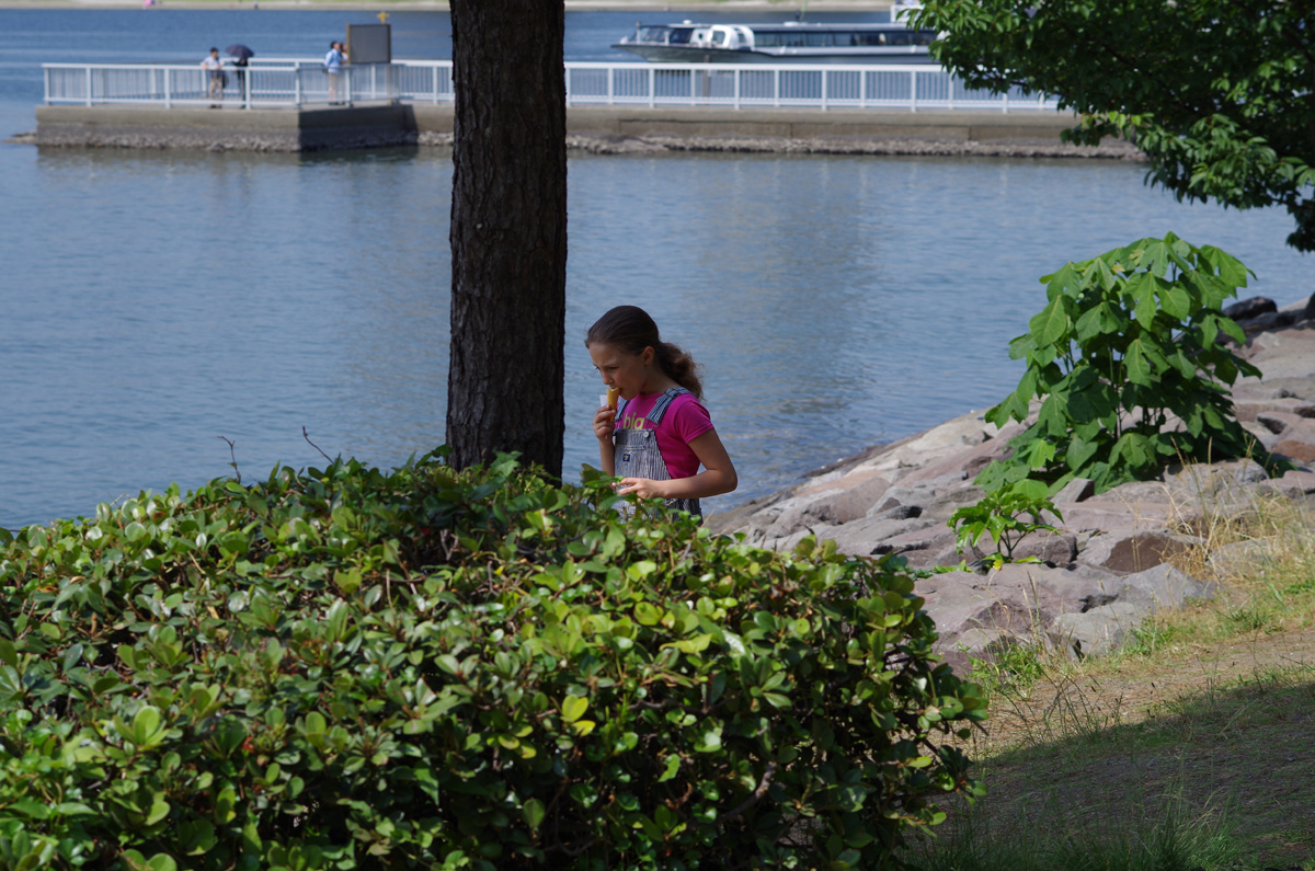 f:id:com:20130608135855j:image