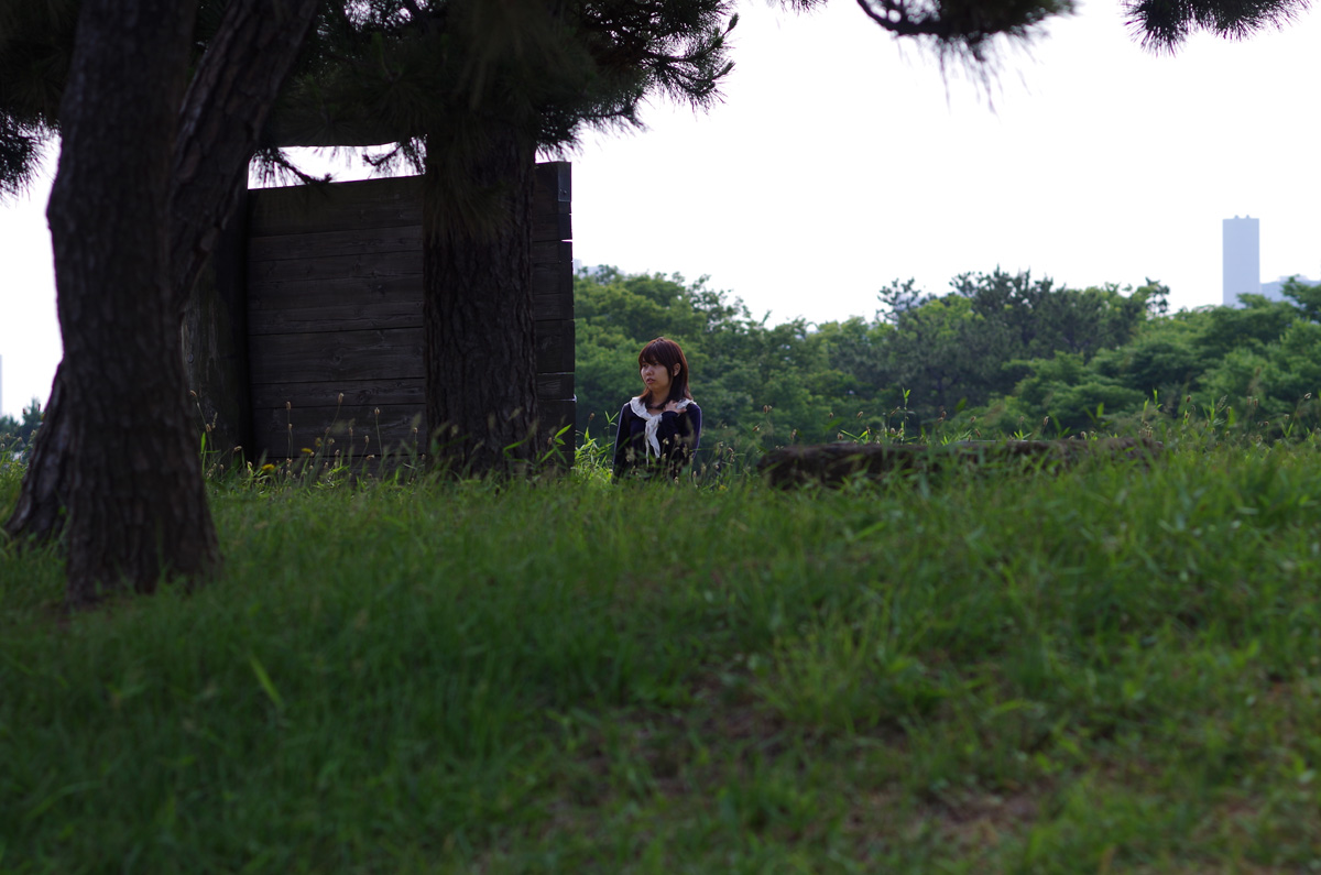 f:id:com:20130608150718j:image