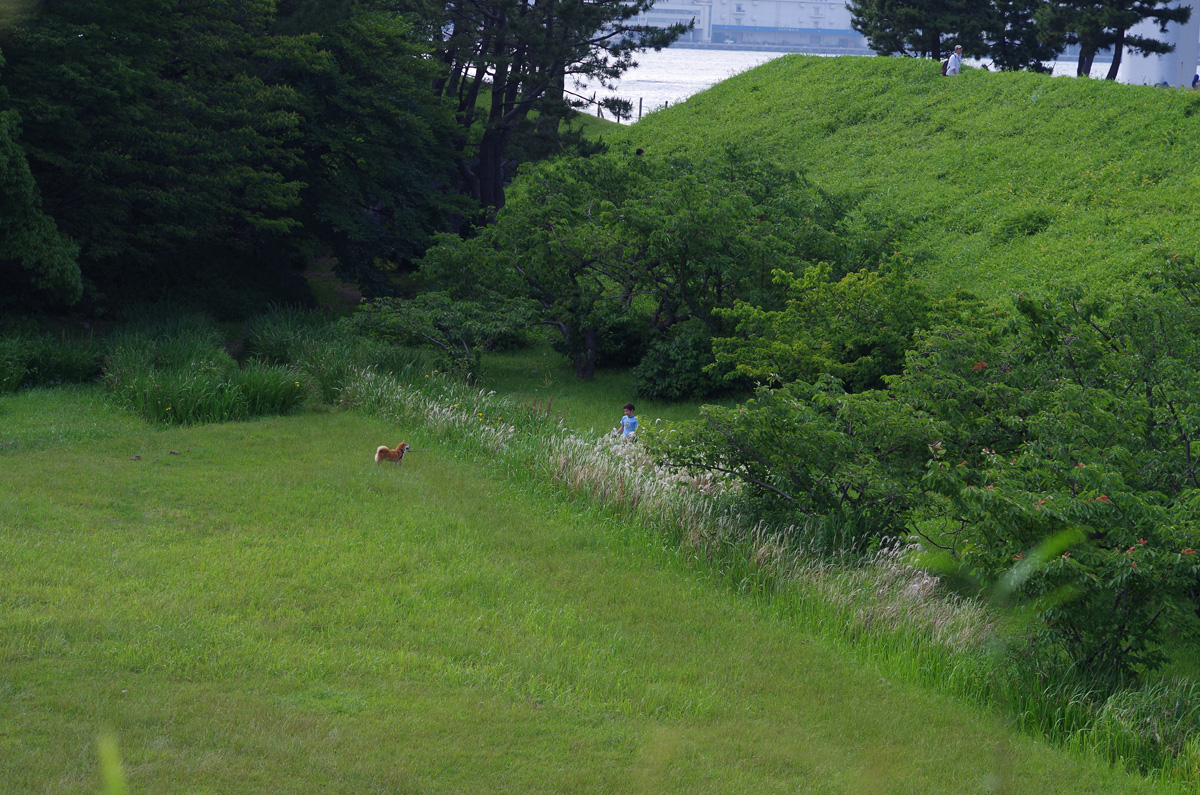f:id:com:20130608150916j:image