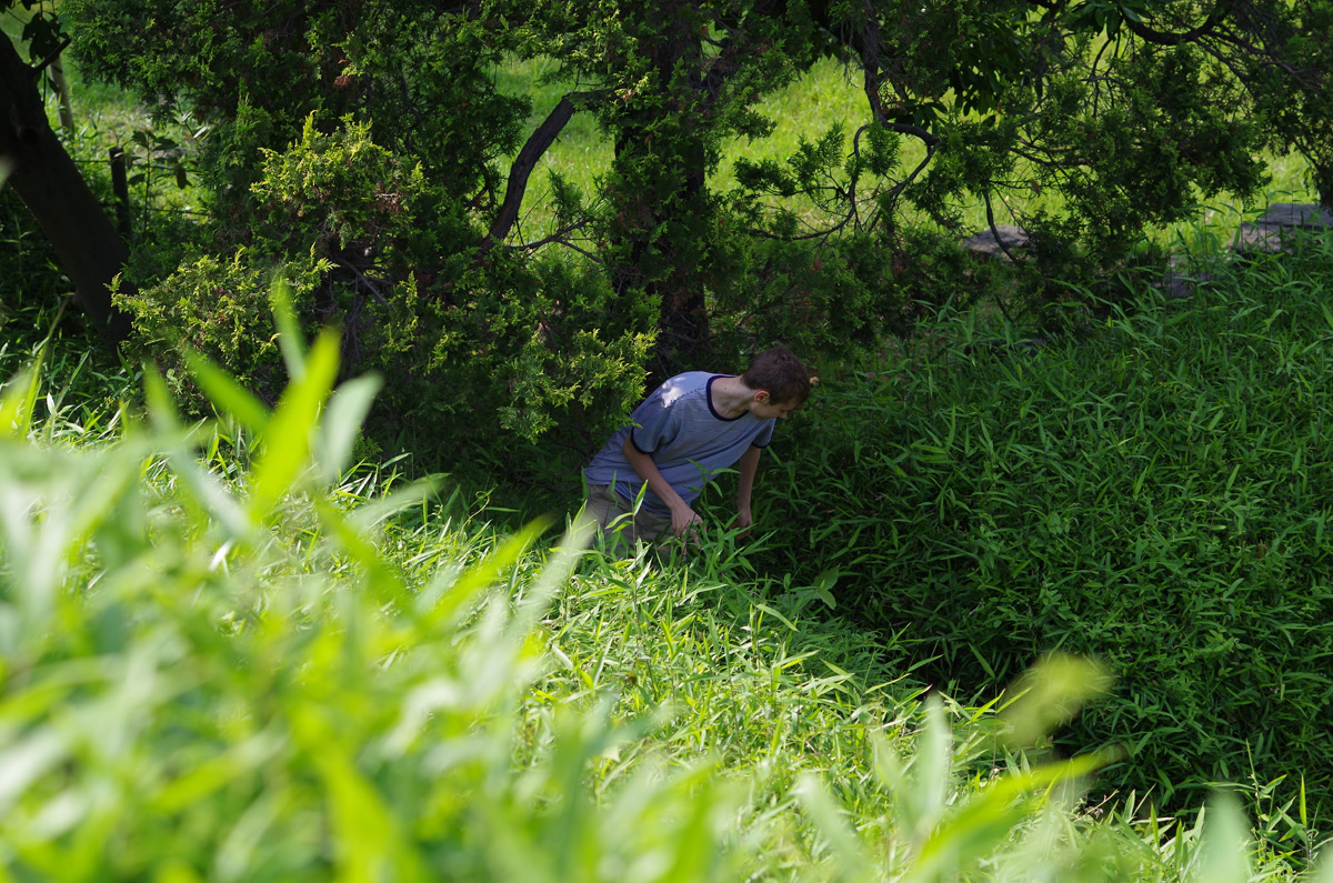f:id:com:20130608151738j:image