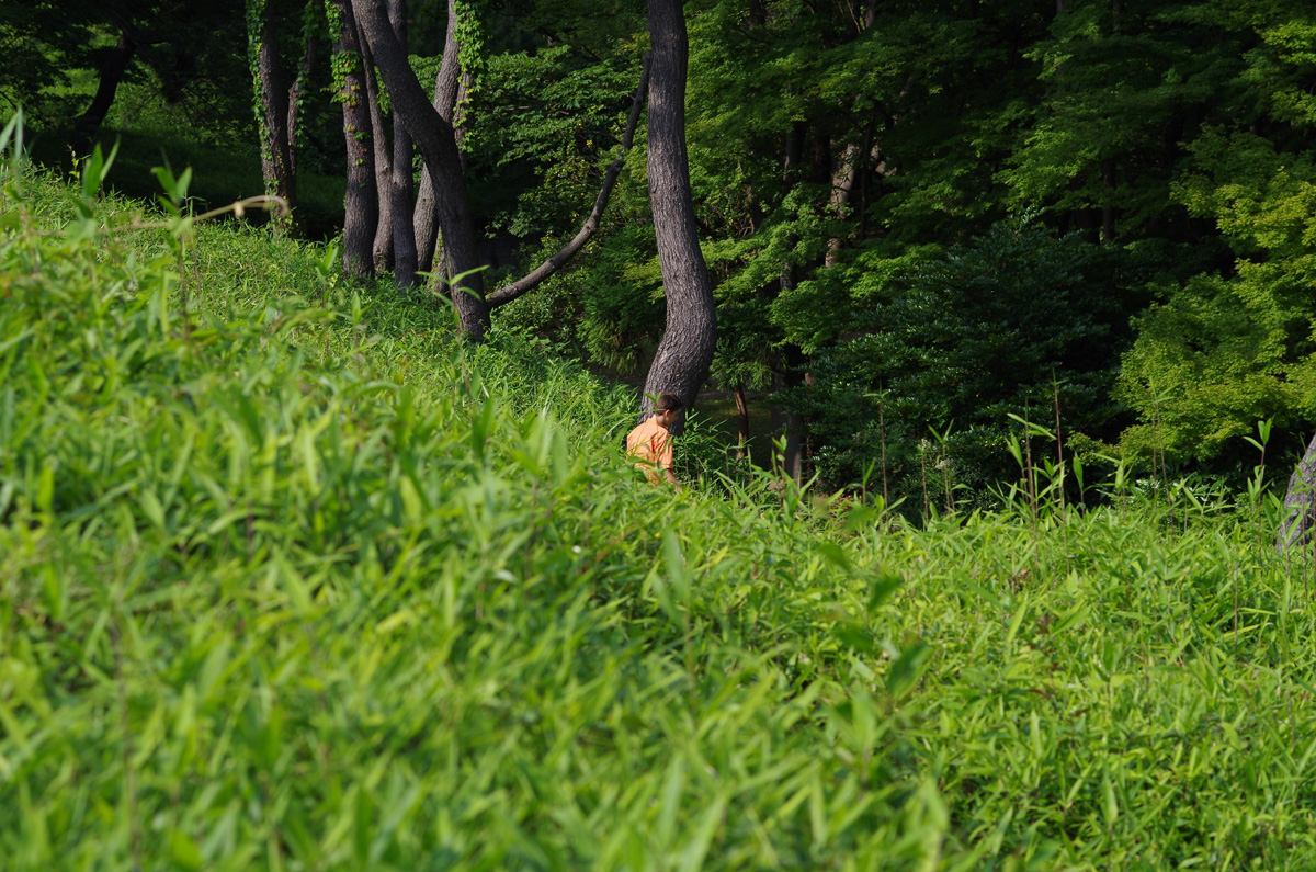 f:id:com:20130608152316j:image