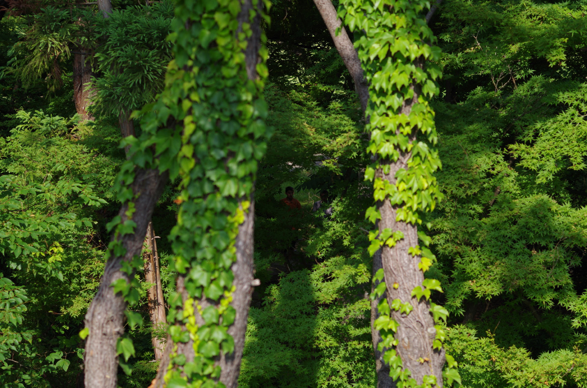 f:id:com:20130608152447j:image