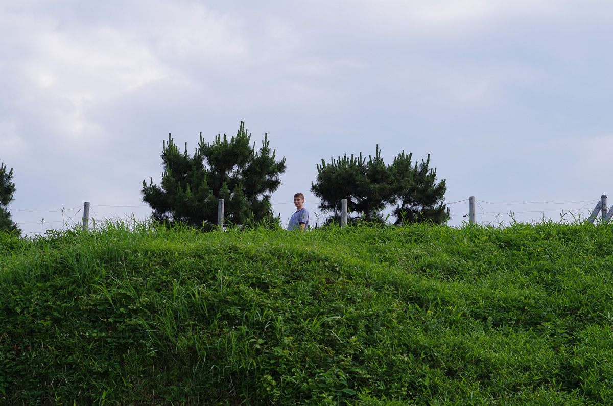 f:id:com:20130608153513j:image
