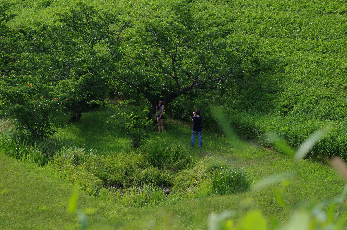 f:id:com:20130608153744j:image
