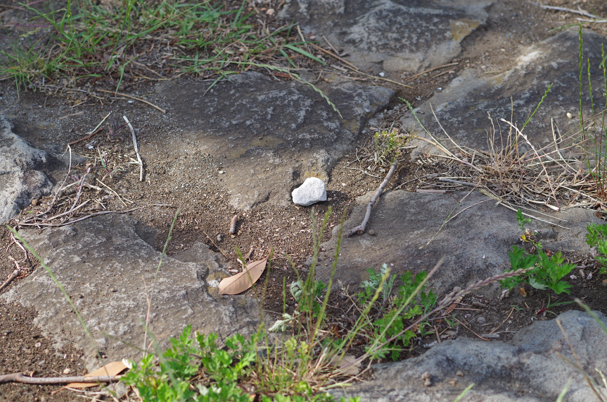 f:id:com:20130608154117j:image