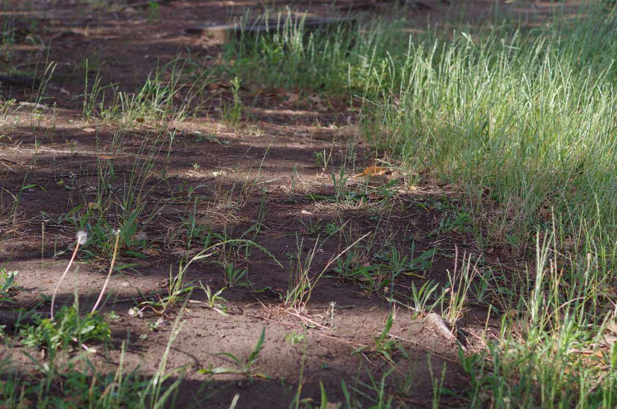 f:id:com:20130608154335j:image