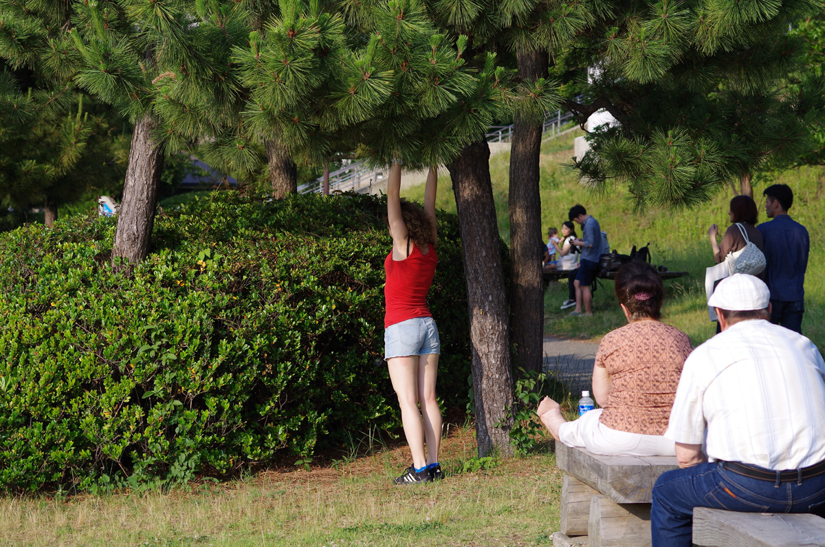 f:id:com:20130608164611j:image