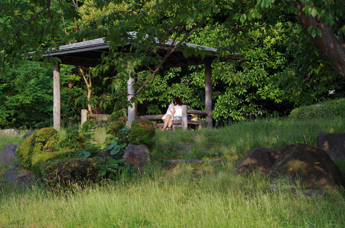 f:id:com:20130608165628j:image