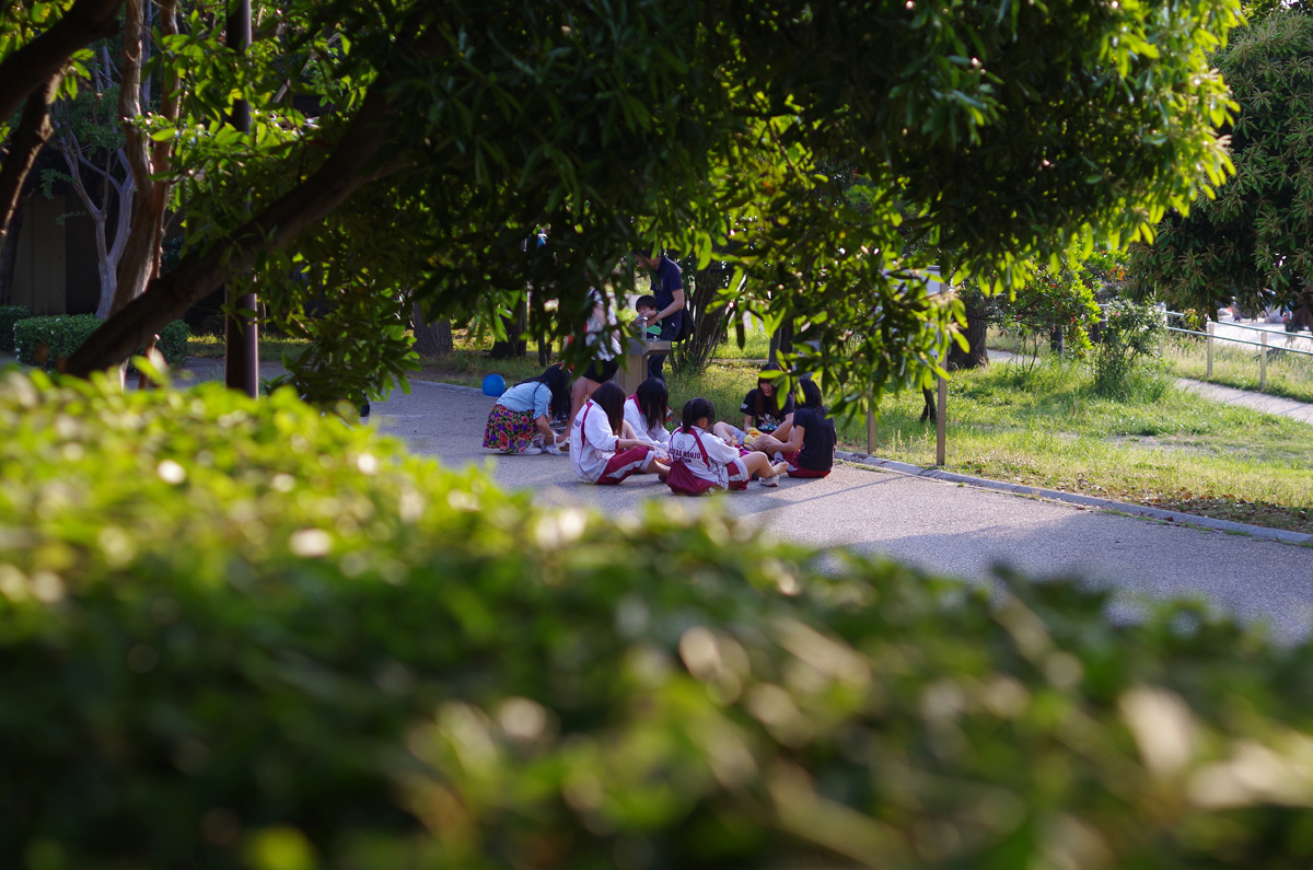 f:id:com:20130608172120j:image