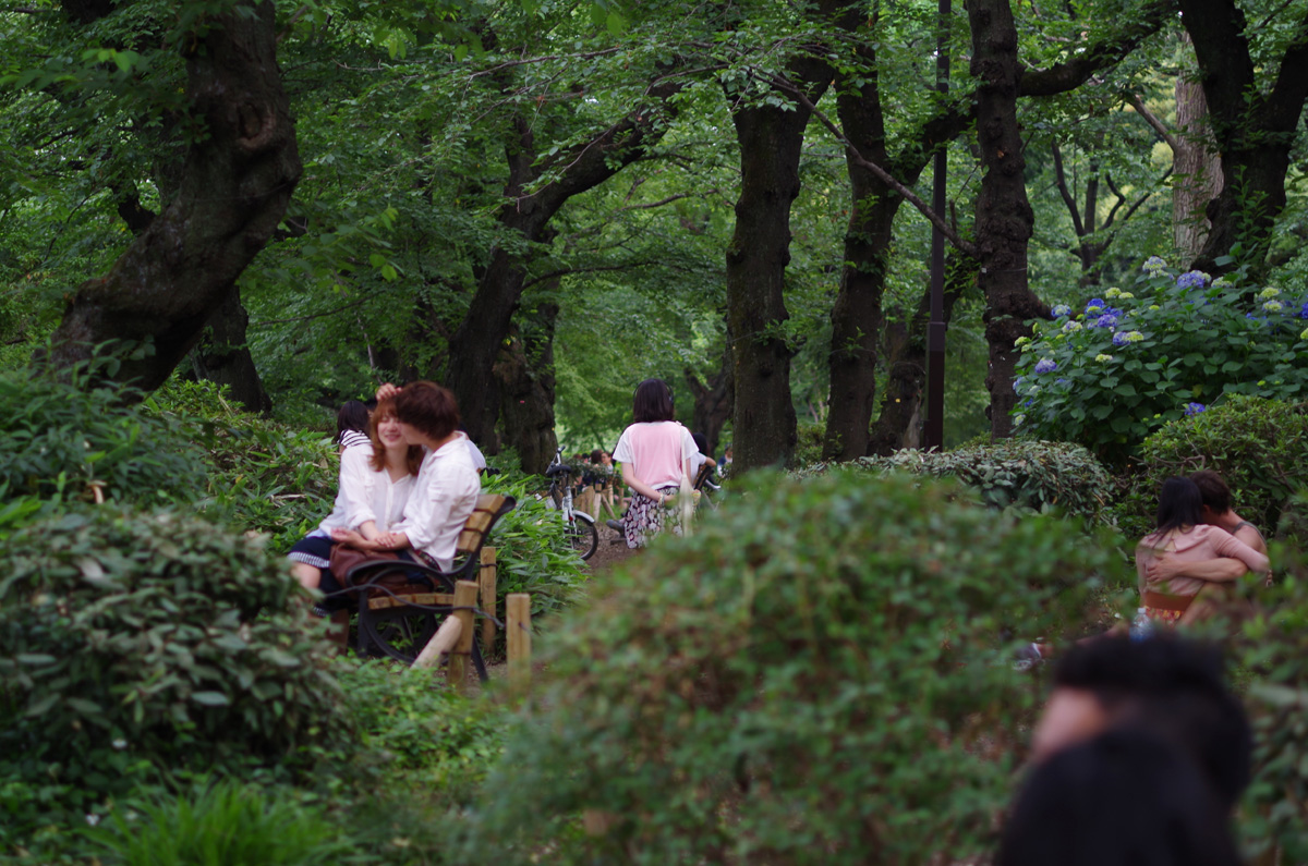 f:id:com:20130609152711j:image
