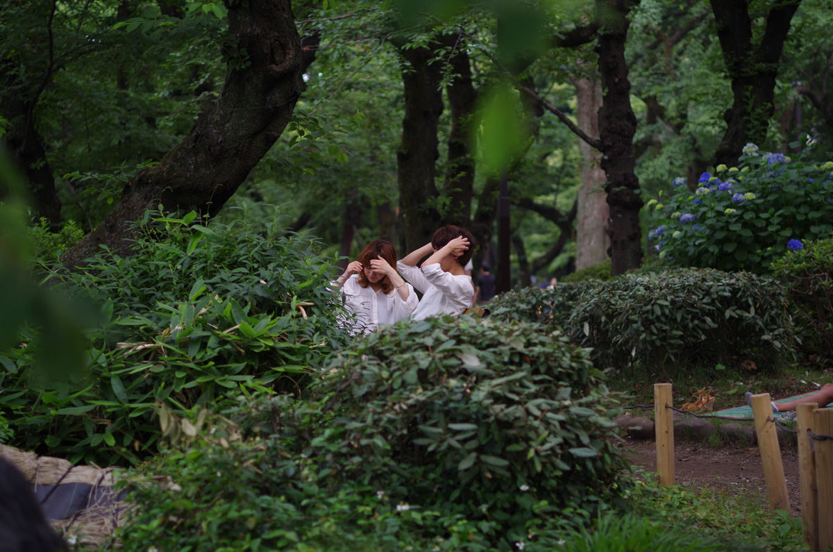 f:id:com:20130609152725j:image