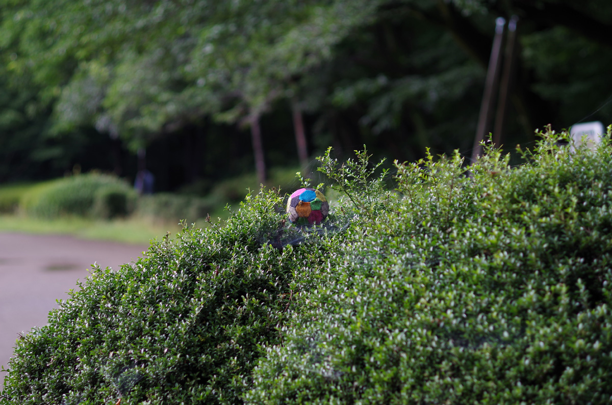 f:id:com:20130616154442j:image