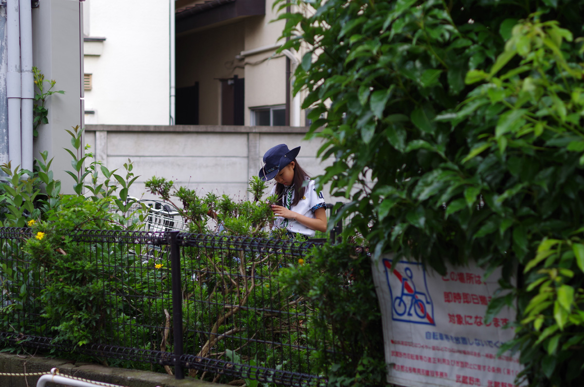 f:id:com:20130616160556j:image