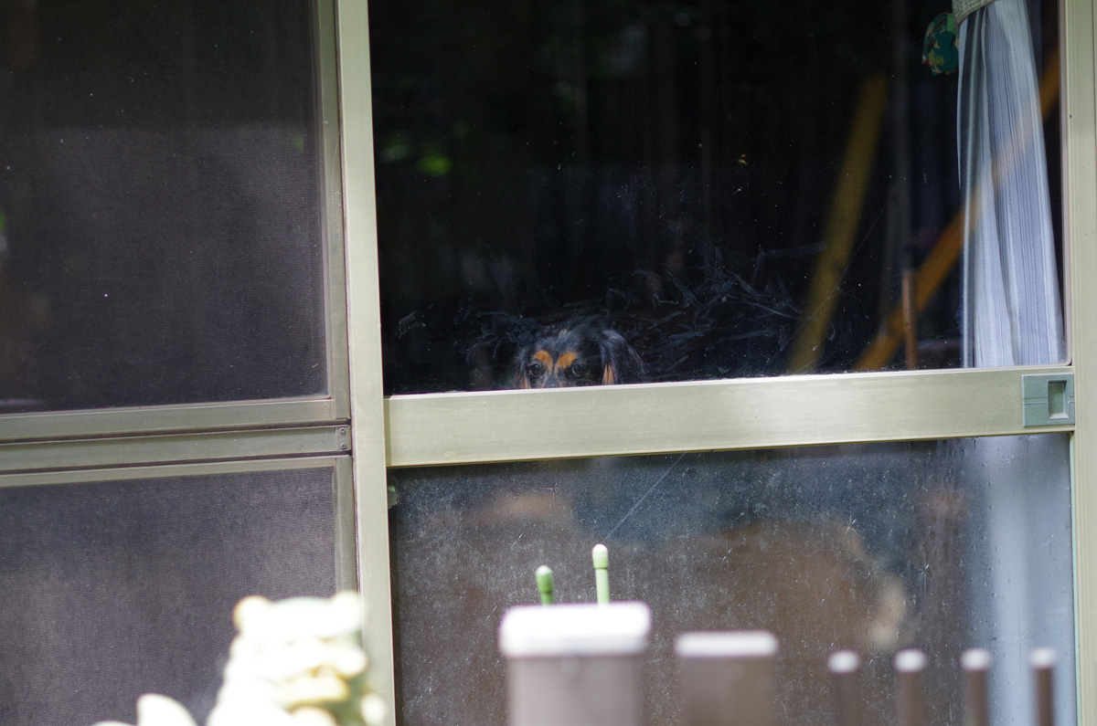 f:id:com:20130903122831j:image