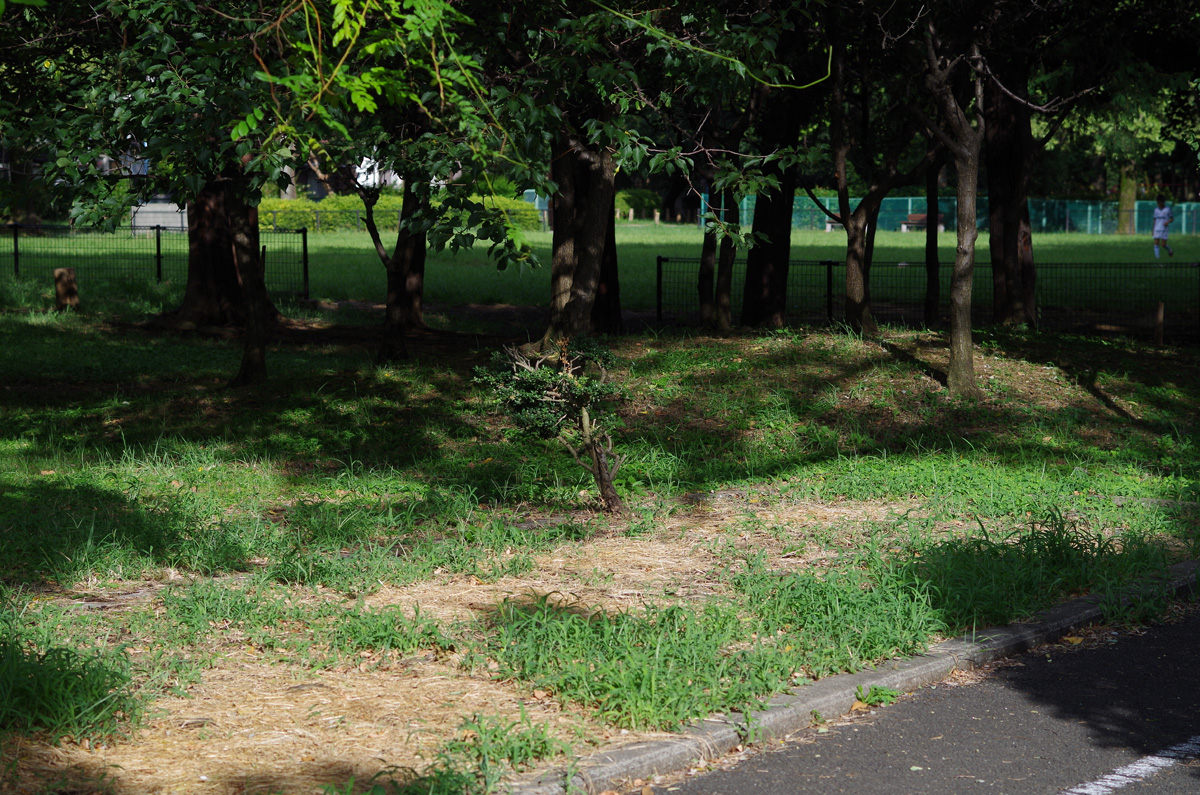 f:id:com:20130904155052j:image