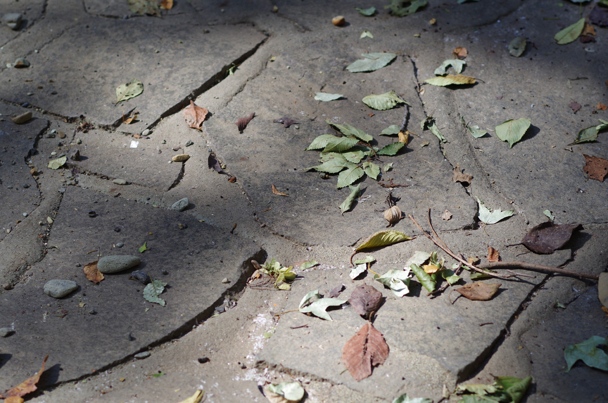 f:id:com:20130919124945j:image