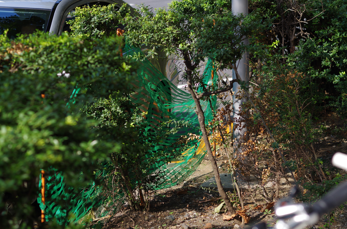 f:id:com:20130921141820j:image