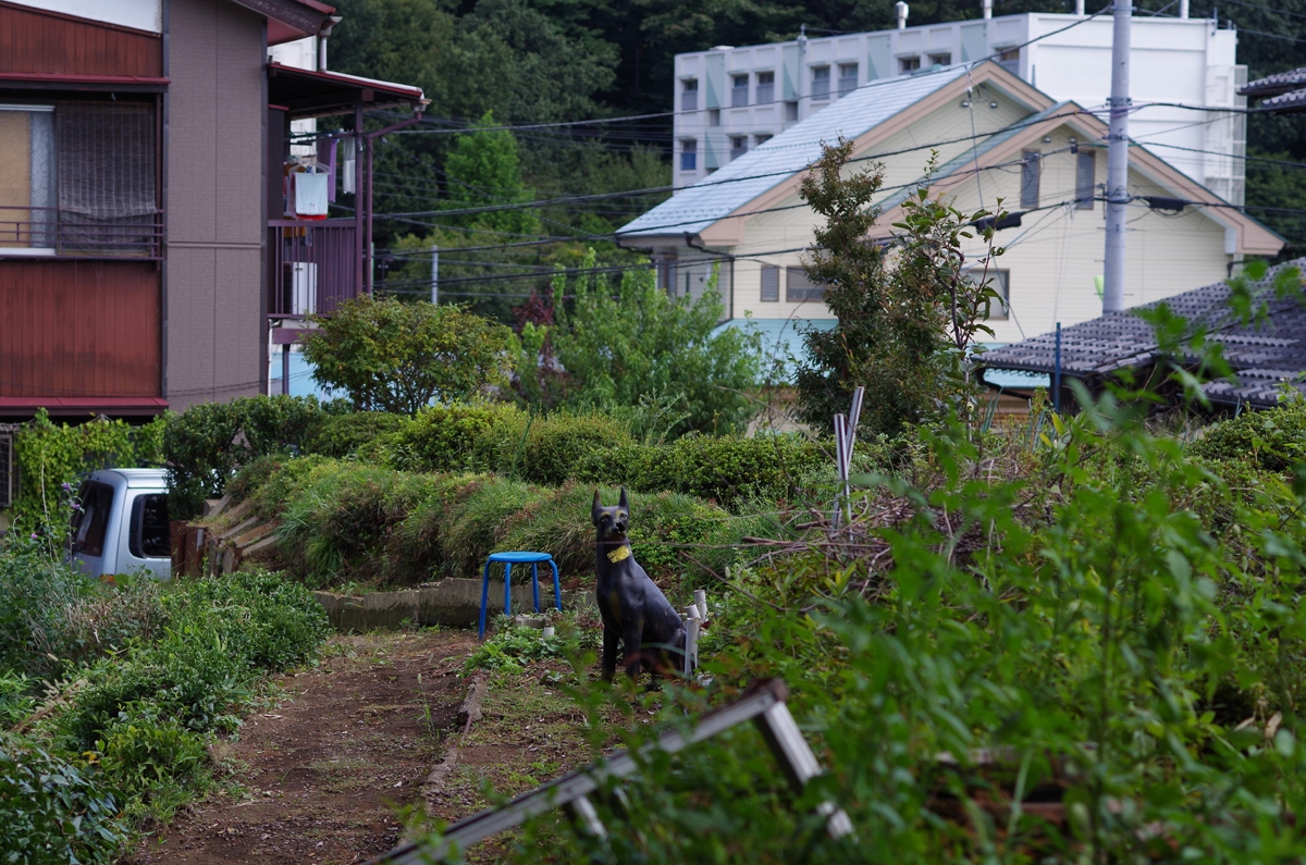 f:id:com:20130929131447j:image